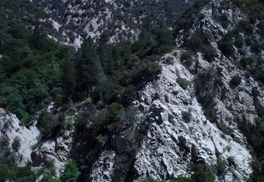 P6060013