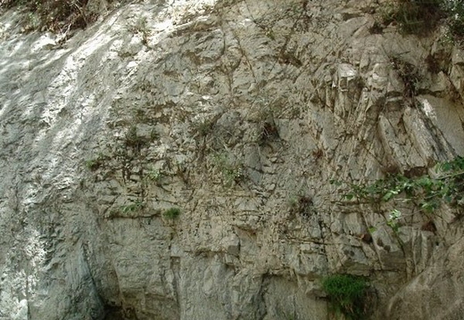 P6060018
