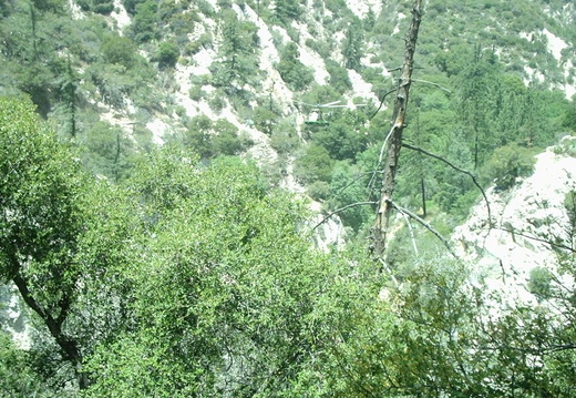 P6060031