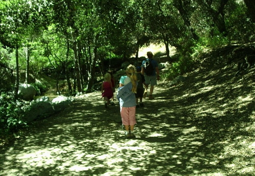 P6060007