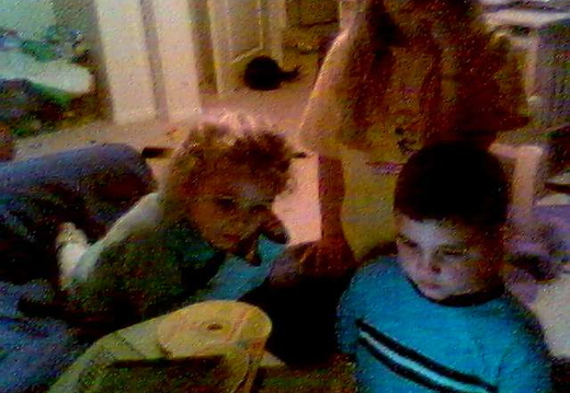 gallery 20040320 203702 1 01