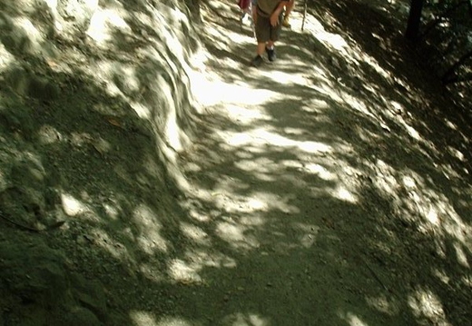 P6060012