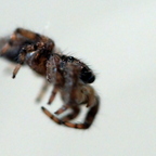 P5062043rg