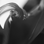 P5202071rg