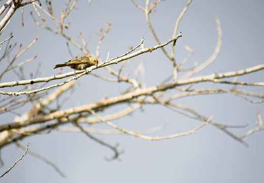 P6022357rg
