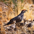 P6083053rg