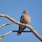 P7014989rg