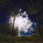 P7045072rg
