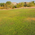 P0240030rg