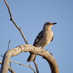 P7275475rg