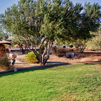 P0650071prg