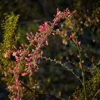 P8035489rg