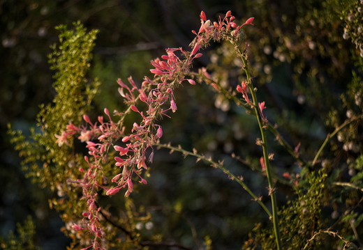 P8035489rg
