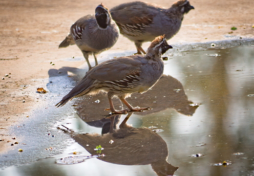 P8195658rg