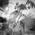 20201103 080447rg
