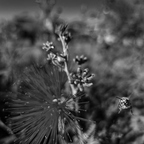 20201104 084831rg