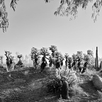 20201109 083505rg
