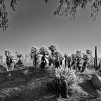 20201109 083505rg3