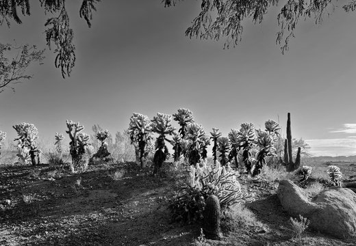 20201109 083505rg3