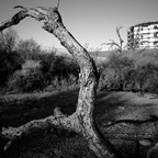 R0001114rg