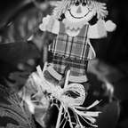R0001220rg