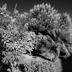 20201126 153603rg