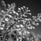 20201126 154039rg