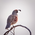 P2026637rg