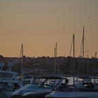 P6093291rg