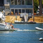P6103338rg