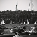 P6113814rg