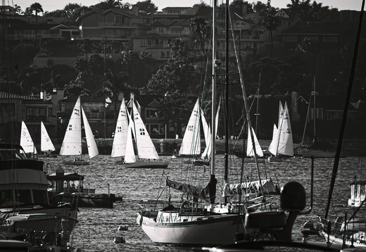 P6113831rg
