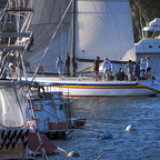 P6113850rg