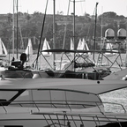 P6113857rg