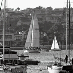 P6113892rg