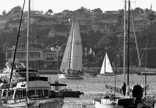 P6113892rg