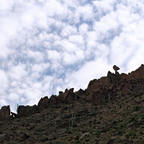 P6274884rg