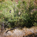 P6274937rg