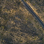 DJI 0171rg