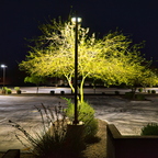 R0000227rg