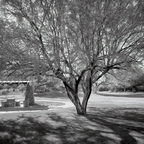 R0000384rg