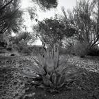 R0000385rg