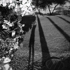 R0000436rg