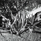 R0000410rg