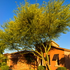 R0000412rg