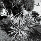 R0000414rg