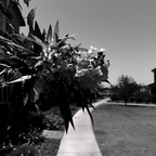 R0000695rg