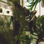 R0000725rg