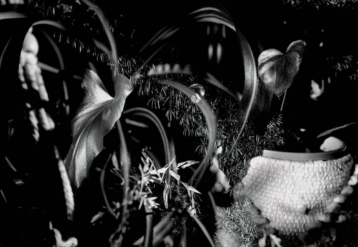 R0000754rg