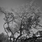 R0000823rg